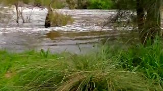 Exhibitionist Naked Handjob Fucking and Creampie on the Creek