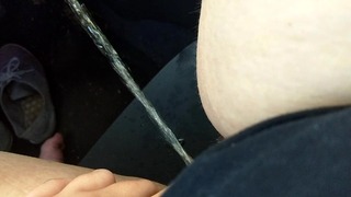 Peed in My Car Again, issa Lot.