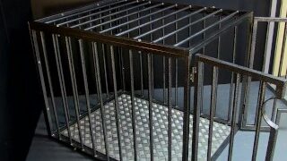 LACEYSTARR – Cage 6