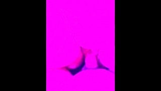 Bbw gets pregnant pussy stretched by bwc