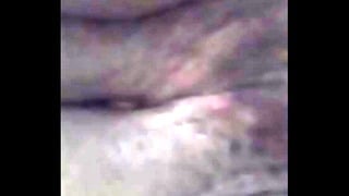 Pregnant BBW bitch
