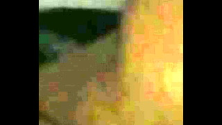 thick ass bbw shakes ass while in reverse cowgirl