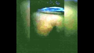 Ghetto BBW Ebony Quick Doggy Fuck
